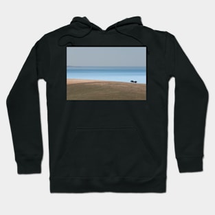 Looking North Hoodie